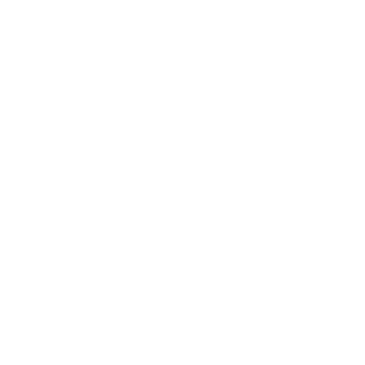 lock icon